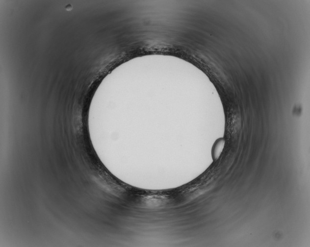 X0000100320508200807031214