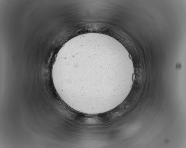 X0000100320510200807031214