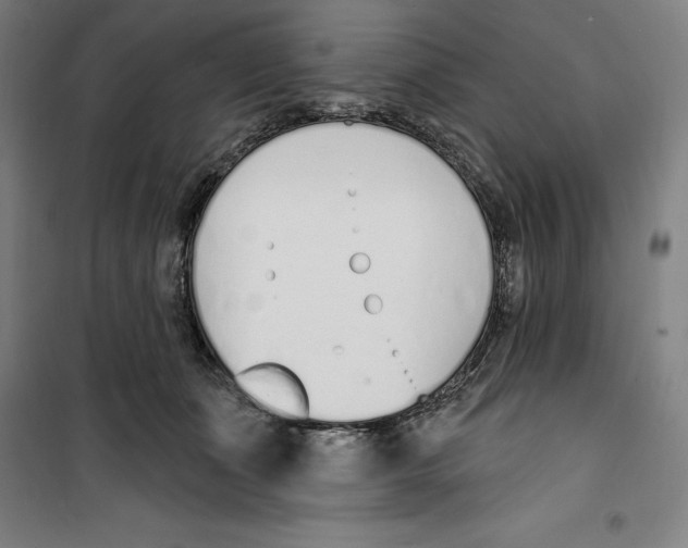 X0000100320511200807031214