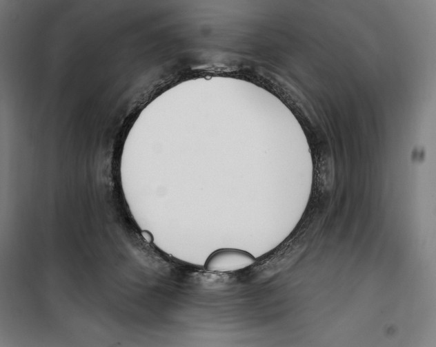 X0000100320512200807031214