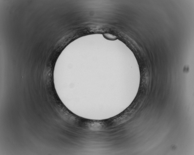 X0000100320513200807031214