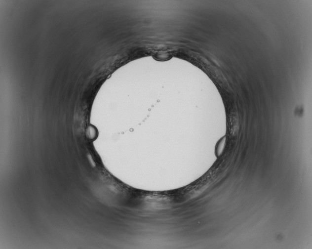 X0000100320515200807031214