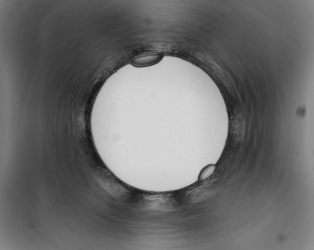 X0000100320516200807031214