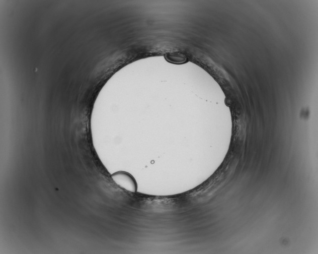 X0000100320517200807031214