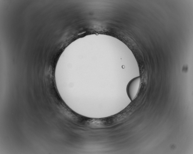 X0000100320518200807031214