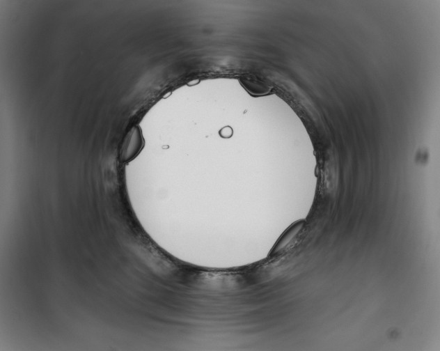 X0000100320520200807031214