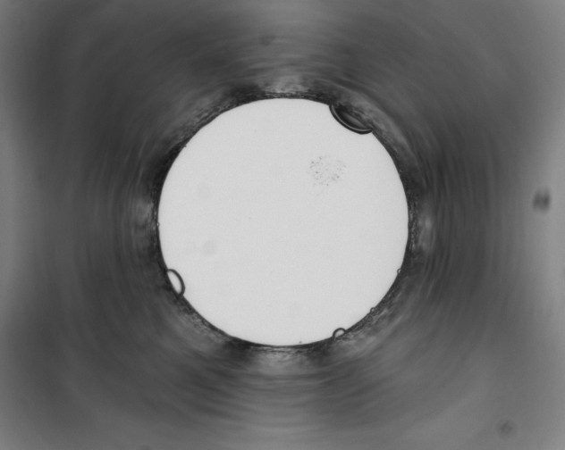 X0000100320521200807031214