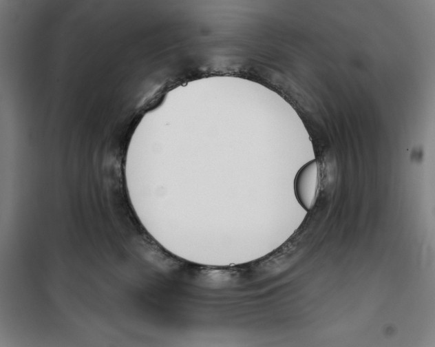 X0000100320522200807031214