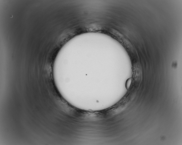 X0000100320523200807031214