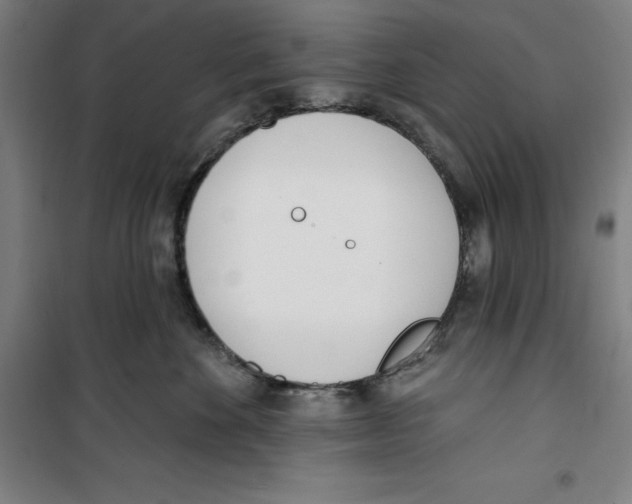 X0000100320524200807031214