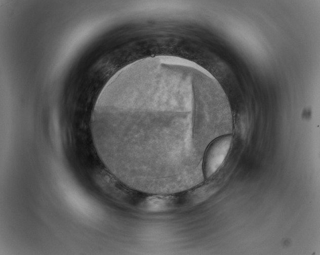 X0000100320526200807031214