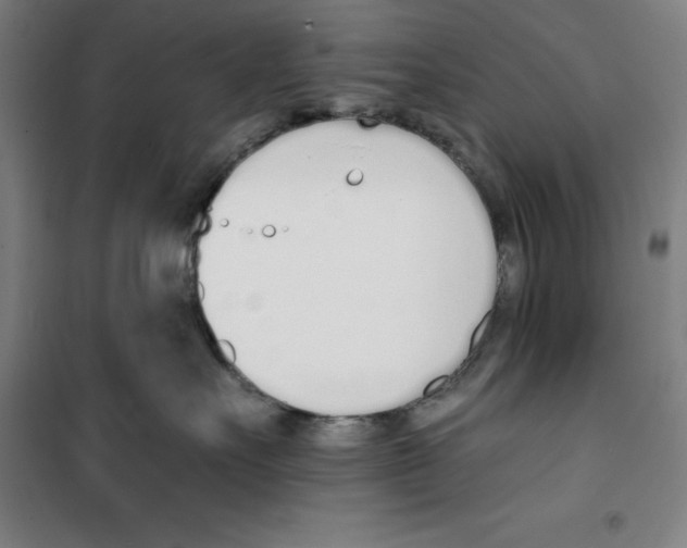 X0000100320527200807031214