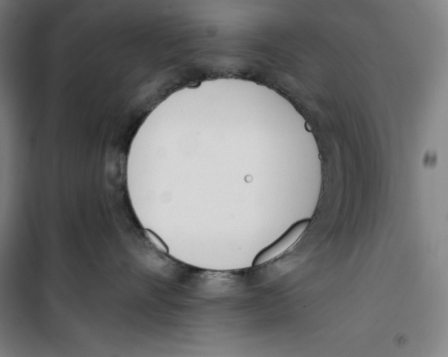 X0000100320528200807031214