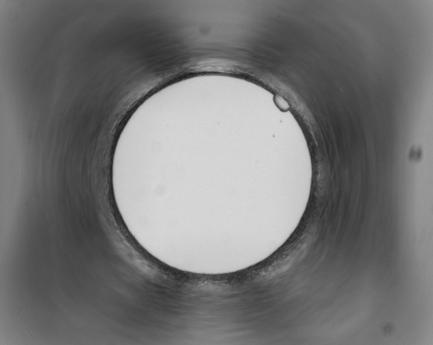 X0000100320529200807031213