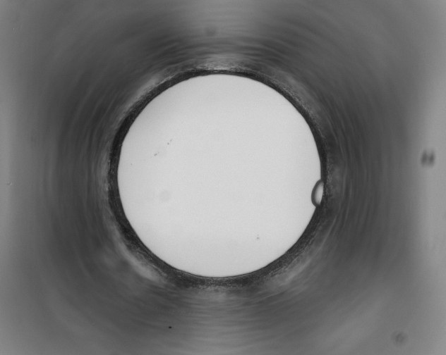 X0000100320530200807031213