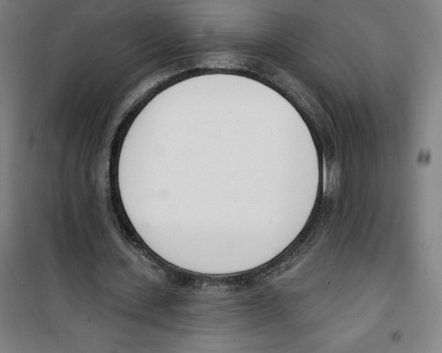 X0000100320531200807031213