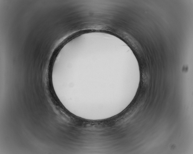 X0000100320532200807031213