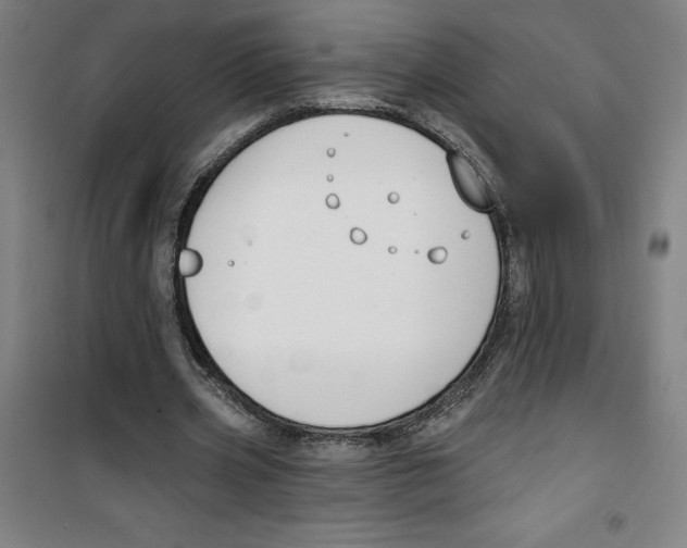 X0000100320533200807031213