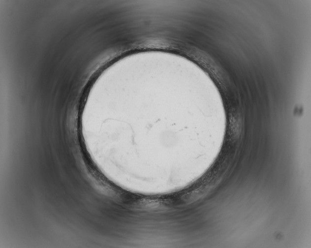 X0000100320534200807031213