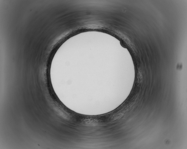 X0000100320535200807031213