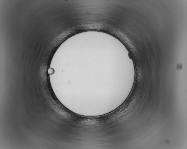 X0000100320537200807031213