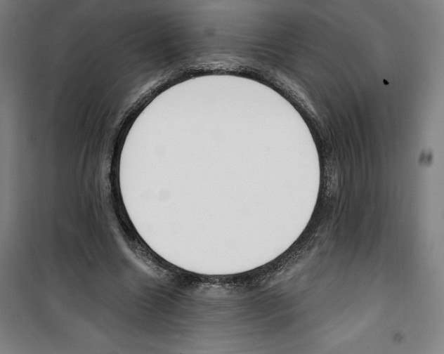 X0000100320538200807031213