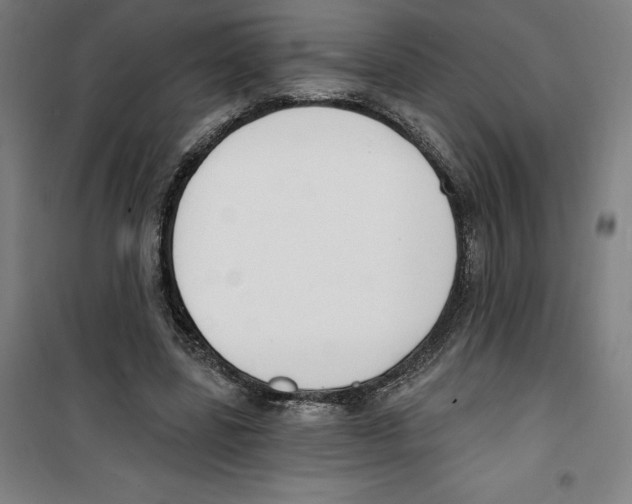 X0000100320539200807031213