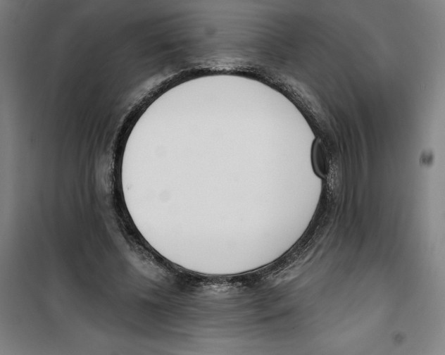 X0000100320540200807031213