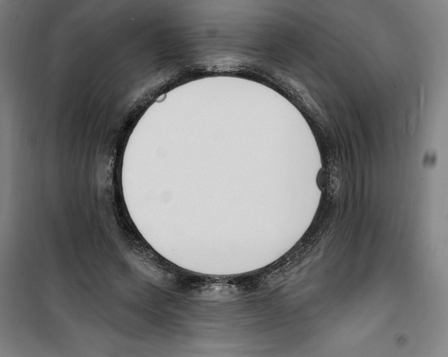 X0000100320543200807031213