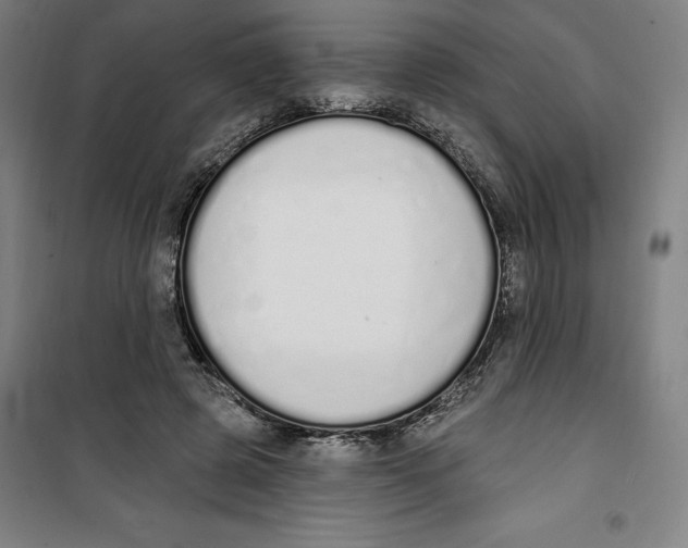 X0000100320545200807031213