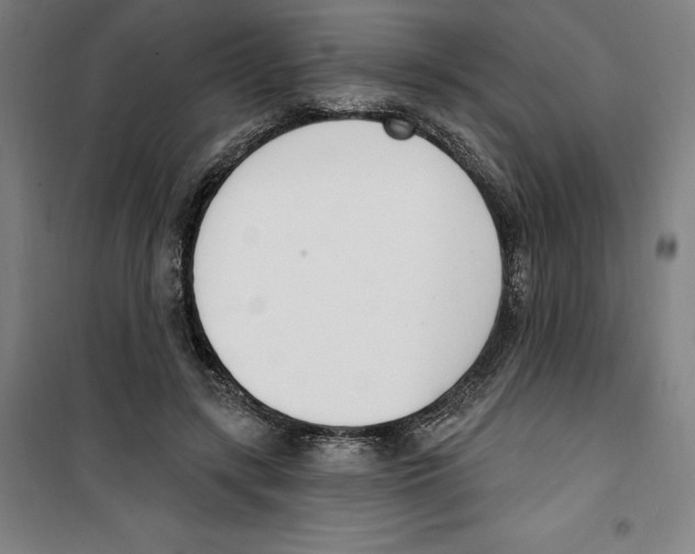 X0000100320547200807031213