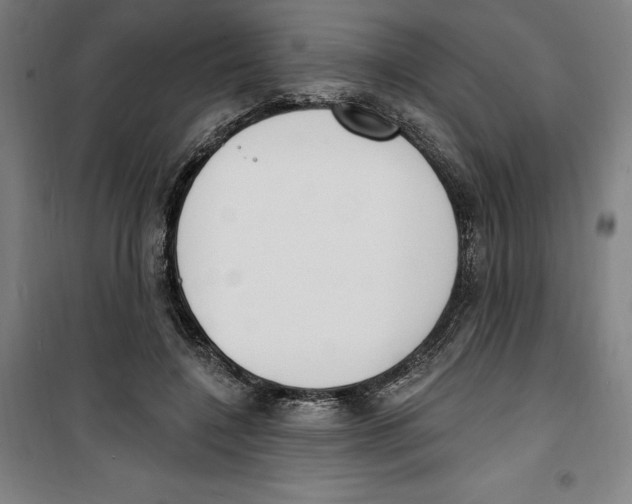 X0000100320548200807031213