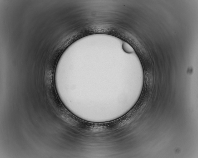 X0000100320549200807031213