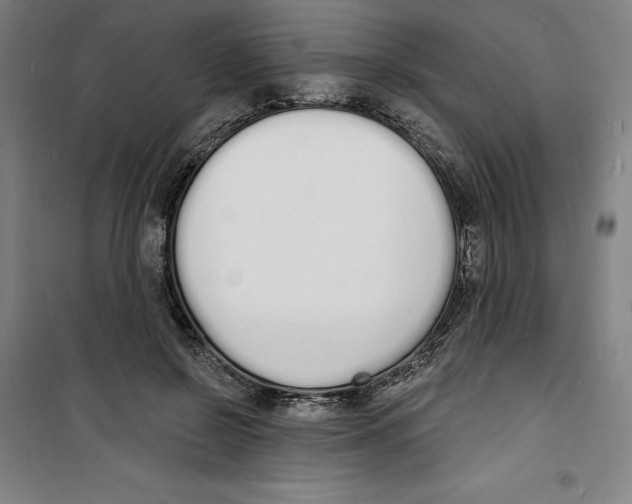 X0000100320550200807031213