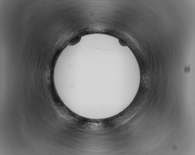 X0000100320552200807031213