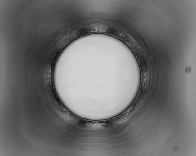 X0000100320553200807031213