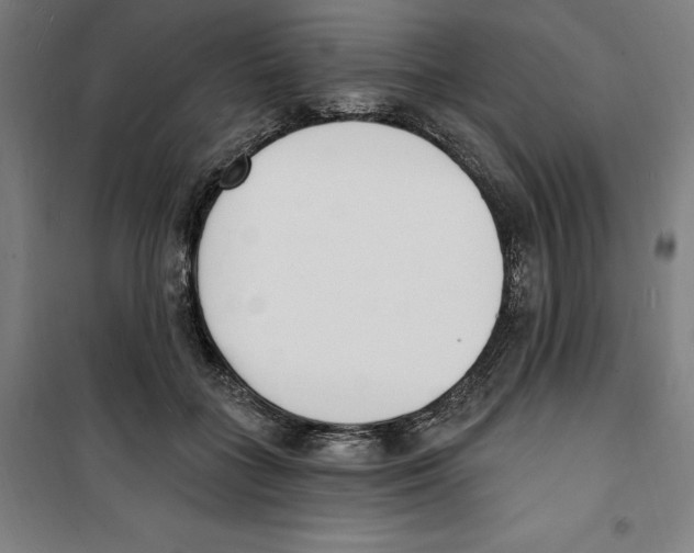 X0000100320555200807031213