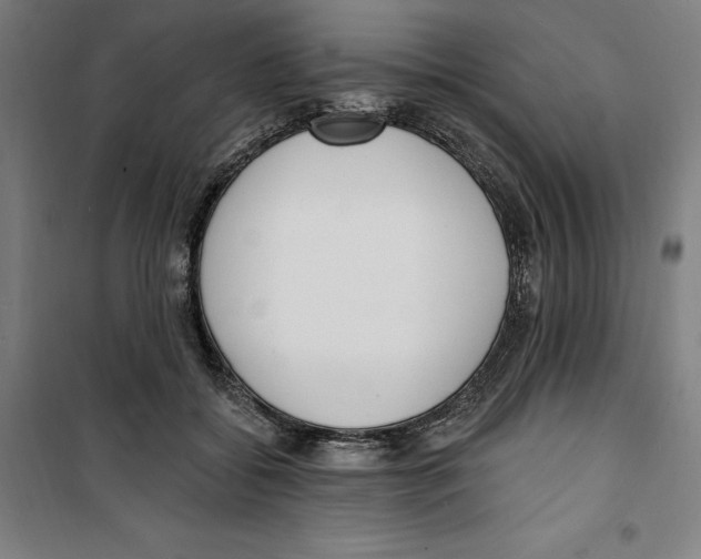 X0000100320556200807031213