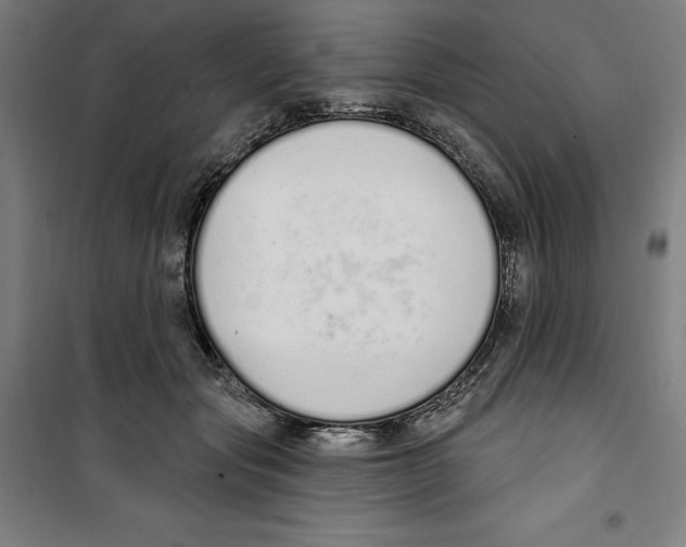 X0000100320557200807031213