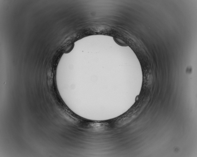 X0000100320558200807031213