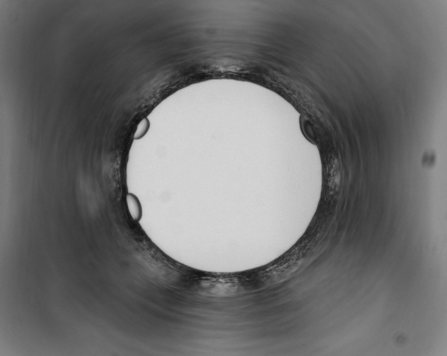 X0000100320559200807031213