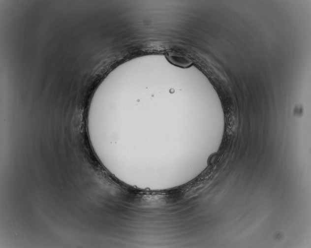 X0000100320560200807031213