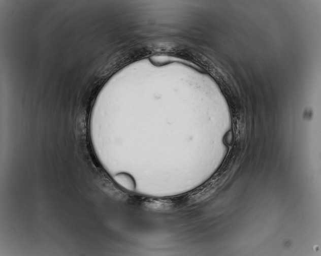 X0000100320561200807031213