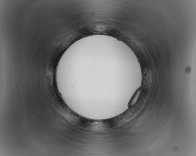 X0000100320562200807031213