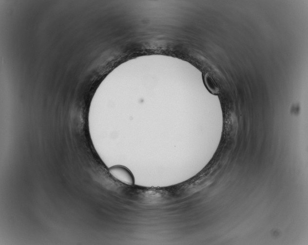 X0000100320566200807031213