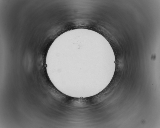 X0000100320567200807031214