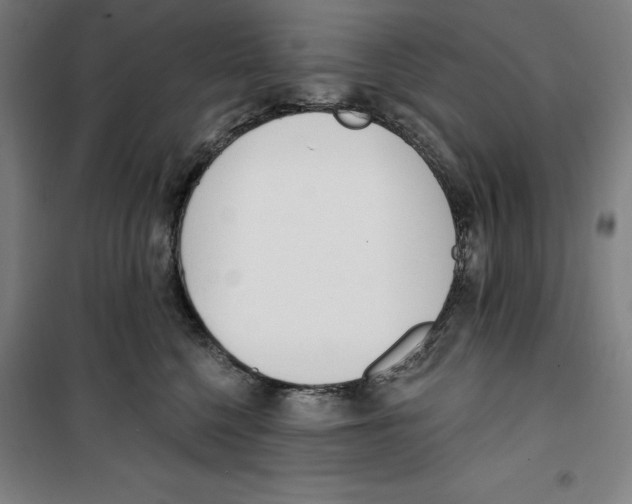 X0000100320568200807031214