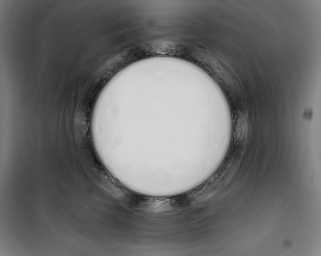 X0000100320569200807031214