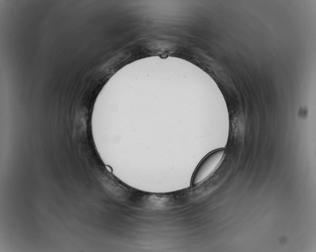 X0000100320570200807031214