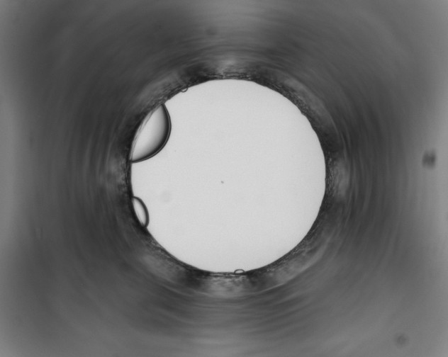 X0000100320571200807031214